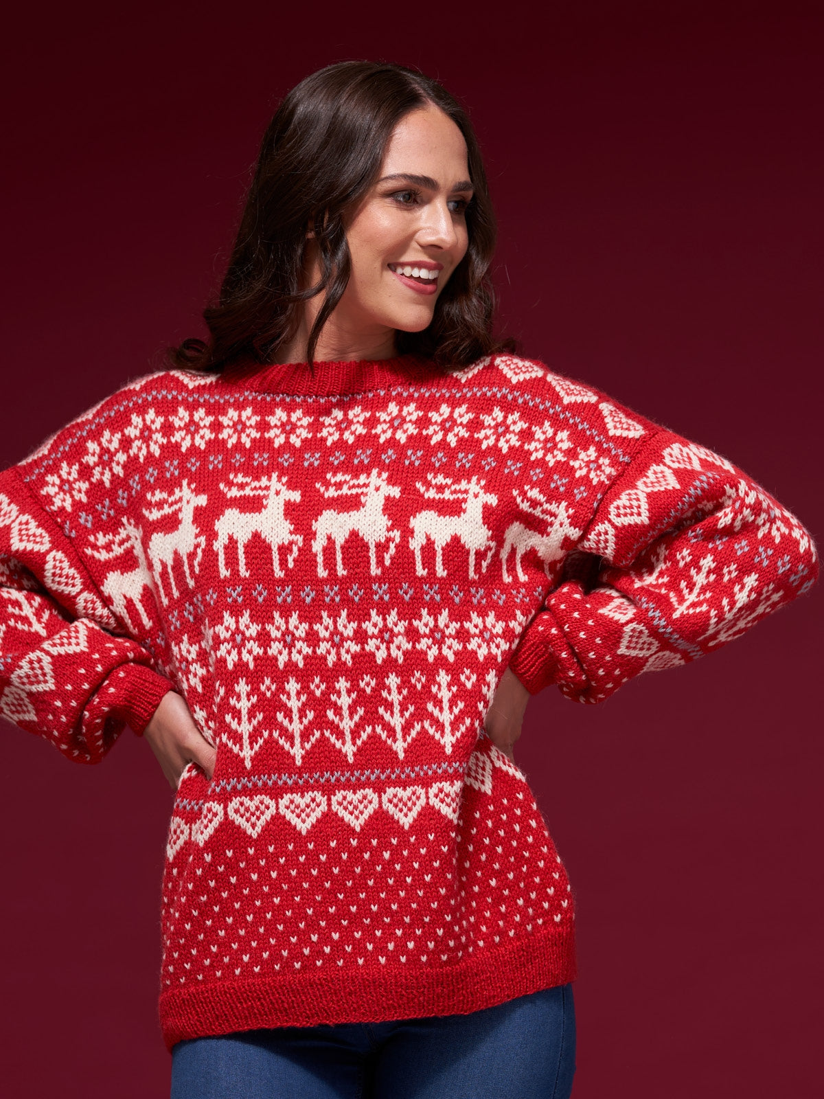 WYS ColourLab DK – Festive Family Collection - Pattern Book